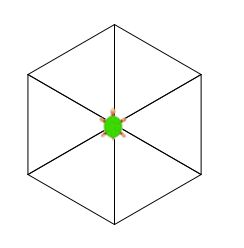 Turtle5.JPG