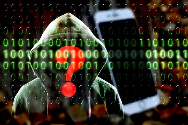 Anpet Cyber-4444448 640.jpg