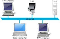 Tim P007 Ethernet LAN.svg.png