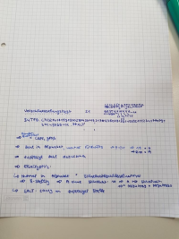 20_3.jpg