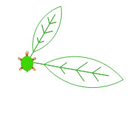 Admin_JavaBlume_Blatt2.jpg