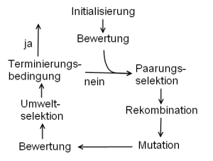 Alexanderpischel_Evolution_diagramm.png