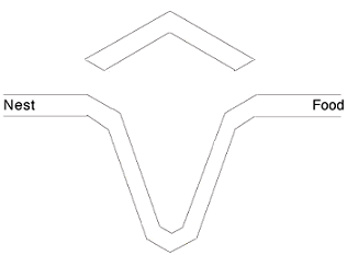 Brooks_DiffLengthDoubleBridge1.png