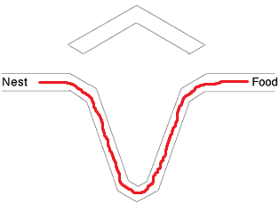 Brooks_DiffLengthDoubleBridge2.png