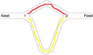 Brooks_DiffLengthDoubleBridgeFinal.png