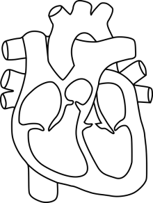 Estergogolin_Herz_Bild.png