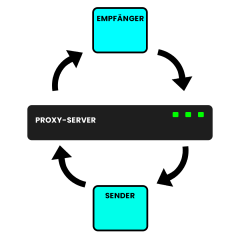 Hilseduck_PROXY.png