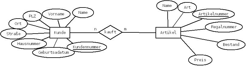 Jakiboi_Diagrammartikel.jpeg