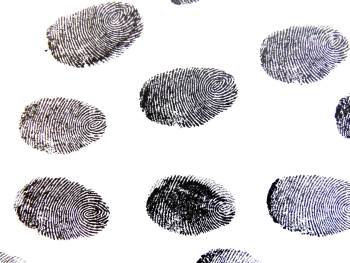 JohaB_Fingerprint-456486_1280.jpg