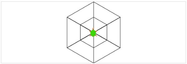 Koehler_Turtle9_Dreiecksblume.jpg