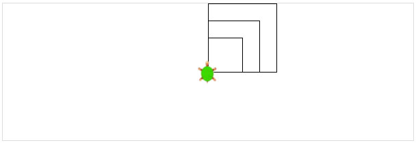 Koehler_Turtle1_quadrat.jpg