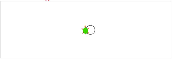 Koehler_Turtle2_kreis.jpg