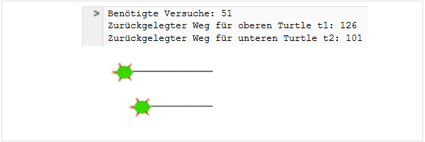 Koehler_Turtle6_Rennen2.jpg