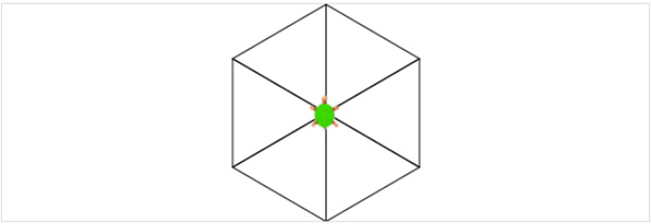 Koehler_Turtle8_Dreiecksblume.jpg