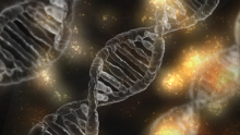 Lottevoigtländer_DNA_bild_für_info.jpg