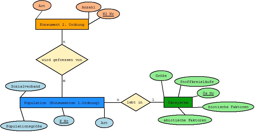 Lteich_Diagrammwiki.jpeg