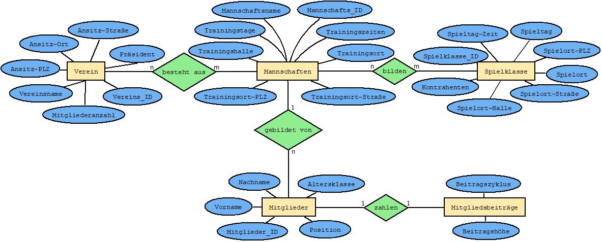 NiederNic_Diagramm11.jpeg