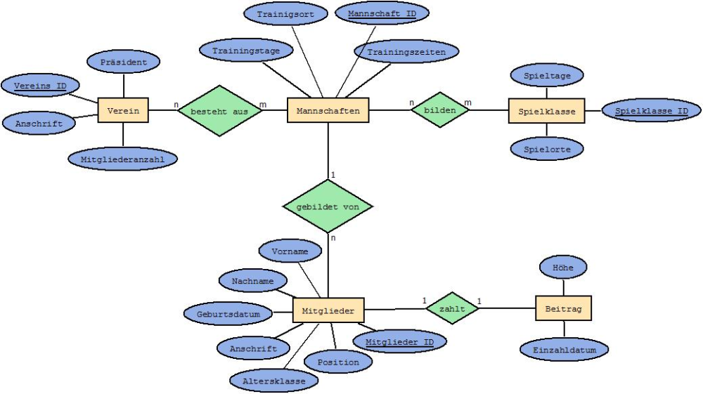 NiederNic Diagramm2.jpeg