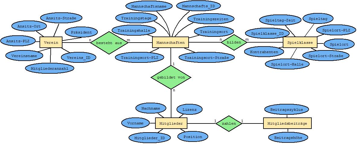 NiederNic_Diagramm321.jpeg