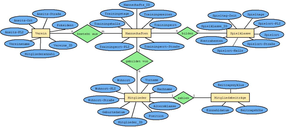 NiederNic Diagramm6.jpeg