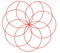 Rosette3.jpg