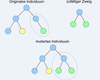 S3alhaes_Mutation.jpg