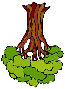 S3anbrem_Baum2.jpeg