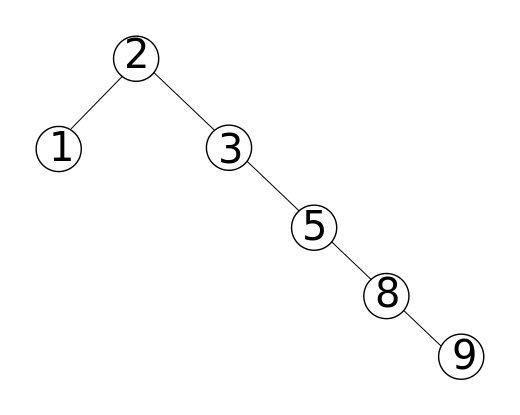 S3rostri_Baum2.png