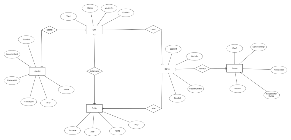 Schulsprecher Erdplus-diagram (1).png