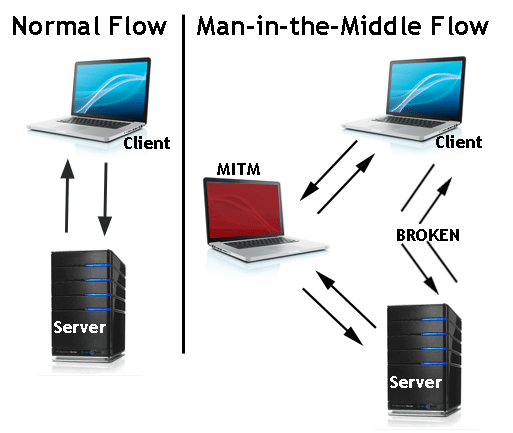 Tammy_Mitm-flow_0.gif