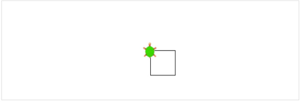 Turtle1_quadrat.jpg